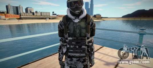New Swat skin (good model)