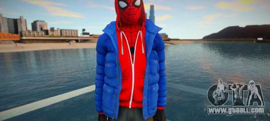 Miles Sportswear PS4
