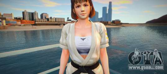 Dead Or Alive 5 - Hitomi (Costume 3) v3