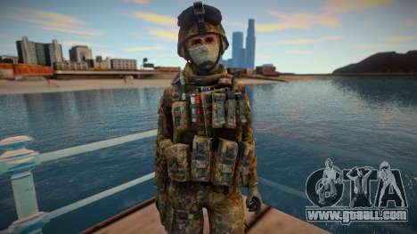 Call Of Duty Modern Warfare skin 14 for GTA San Andreas