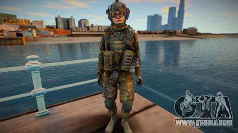 Call Of Duty Modern Warfare skin 7 for GTA San Andreas