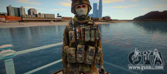 Call Of Duty Modern Warfare skin 14