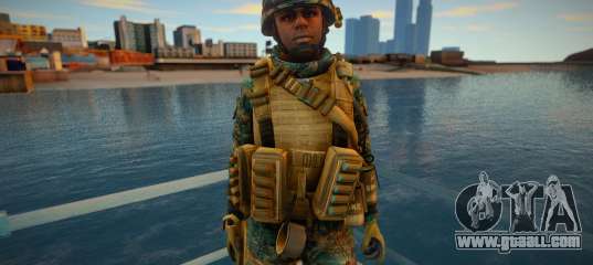 Call Of Duty Modern Warfare - Woodland Marines 7