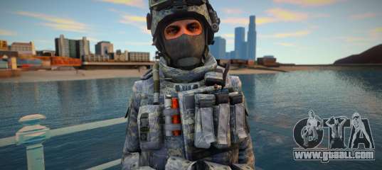 Call Of Duty Modern Warfare 2 - Army 15