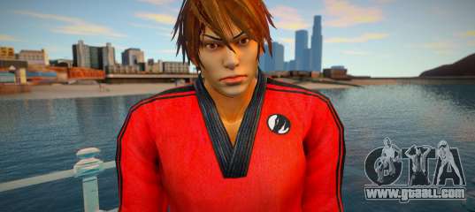 Shin Fu Kung Fu 8