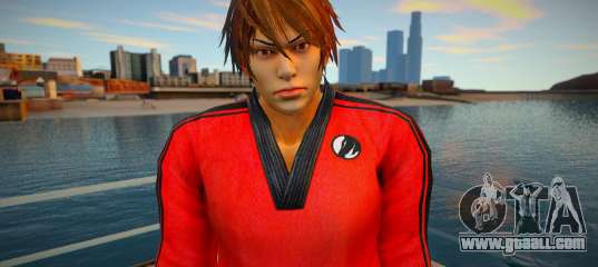 Shin Fu Kung Fu 4