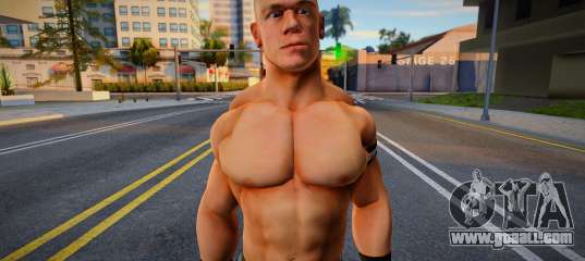John Cena 2011