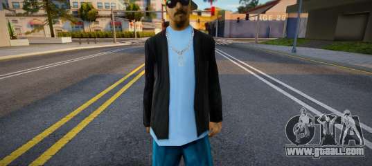 FSc Skin v1