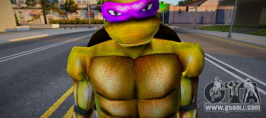 Donatello - Teenage Mutant Ninja Turtles