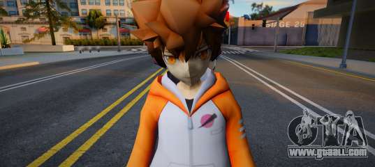 Tsunayoshi Sawada Costumes from Katekyo Hitman 1