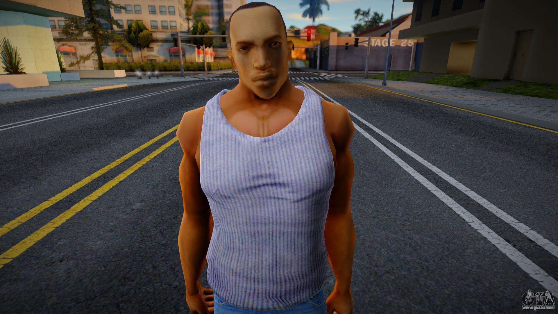 Gta carl johnson gta 5 фото 74