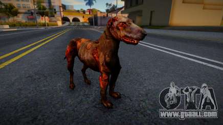 Dog from S.T.A.L.K.E.R. v2 for GTA San Andreas