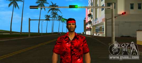 Ocean Beach Slayer Skin for GTA Vice City