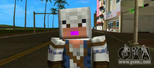 Steve Body Assasin for GTA Vice City