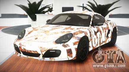 Porsche Cayman R GT S5 for GTA 4
