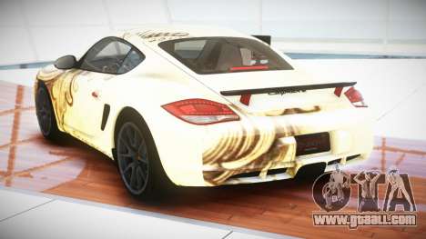 Porsche Cayman R G-Style S2 for GTA 4