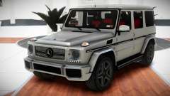 Mercedes-Benz G65 AMG S-Tuned