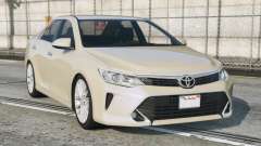 Toyota Camry Sisal [Replace] for GTA 5